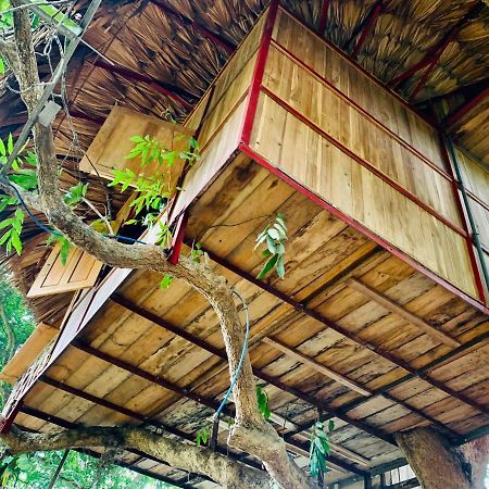 מלון Muong Retreat- Nghi Duong Xanh Trong Bao Tang Van Hoa Nghe Thuat,Hòa Bình מראה חיצוני תמונה