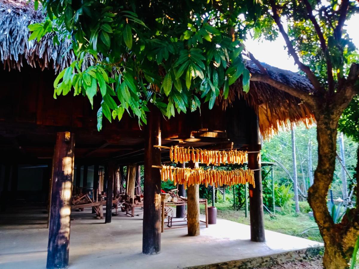 מלון Muong Retreat- Nghi Duong Xanh Trong Bao Tang Van Hoa Nghe Thuat,Hòa Bình מראה חיצוני תמונה
