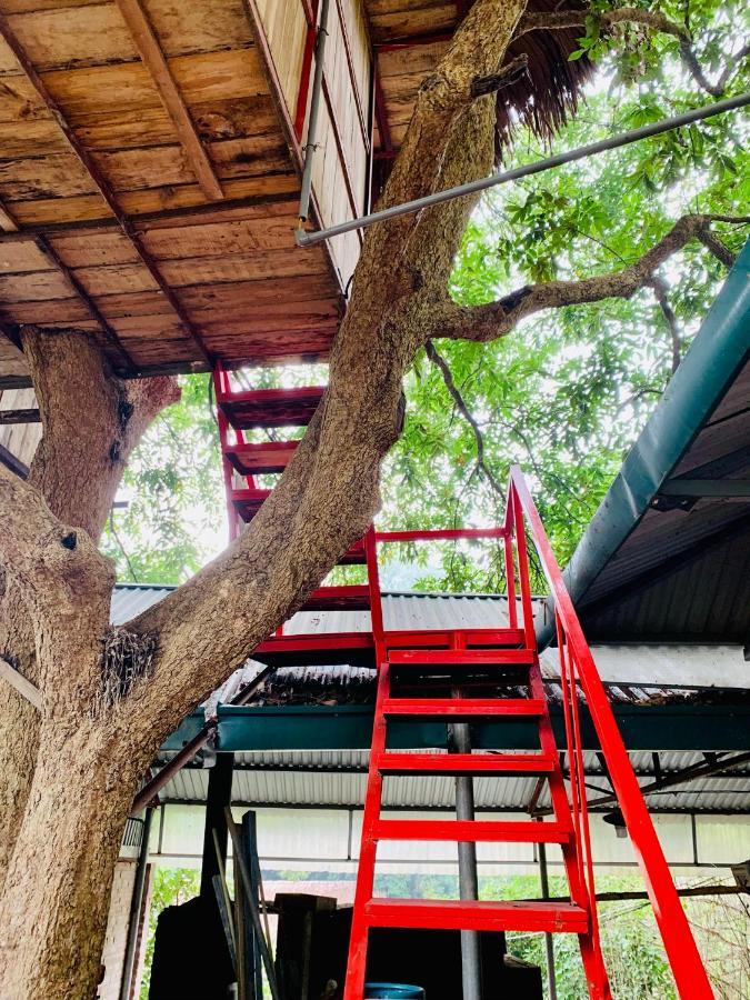 מלון Muong Retreat- Nghi Duong Xanh Trong Bao Tang Van Hoa Nghe Thuat,Hòa Bình מראה חיצוני תמונה